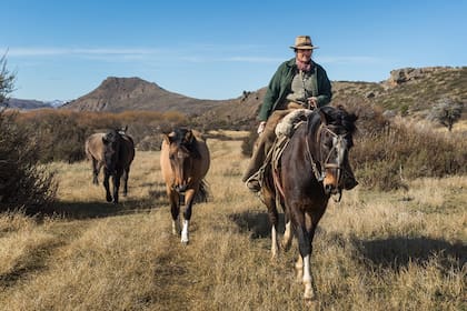 Carol Jones, nieta de Jarred Jones, organiza cabalgatas