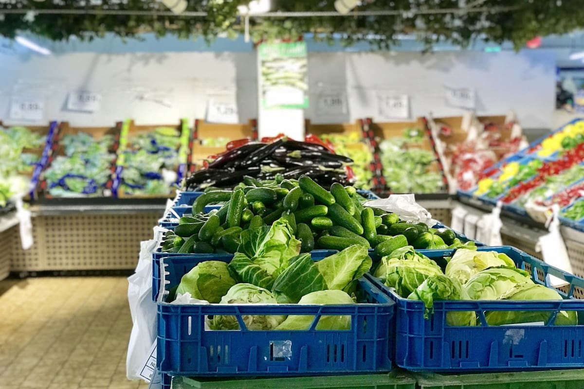 Carolina del Norte ejecuta la distribución de cupones alimenticios entre el 3 y el 21 de agosto