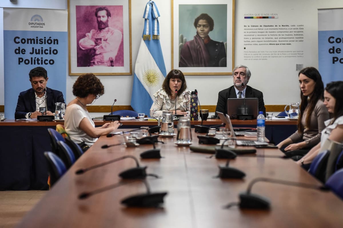 Carolina Gaillard, presidenta de la Comisión de Juicio Político