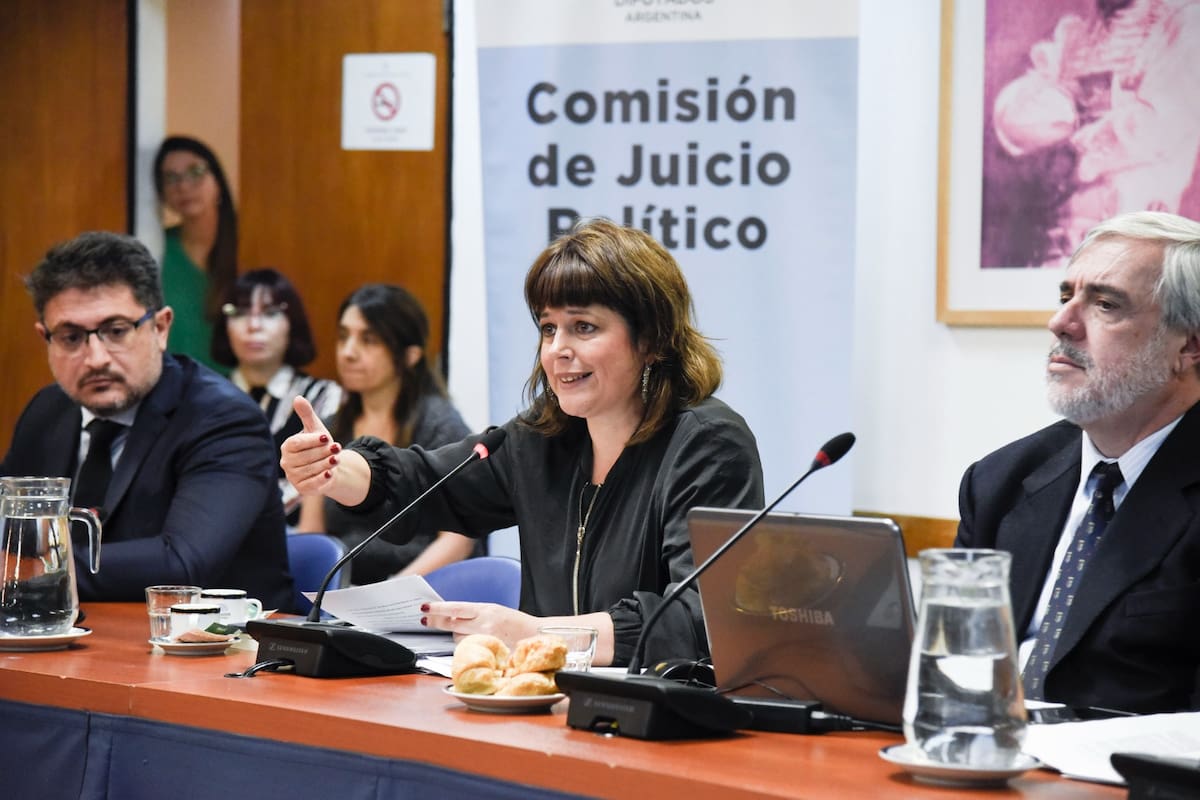 Carolina Gaillard, presidenta de la Comisión de Juicio Político