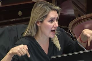 Senadores radicales impulsan una "ley espejo" del megadecreto de Milei