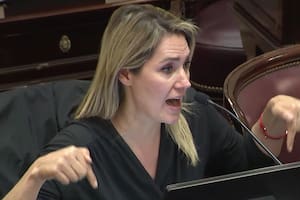 Carolina Losada, senadora de la UCR por Santa Fe