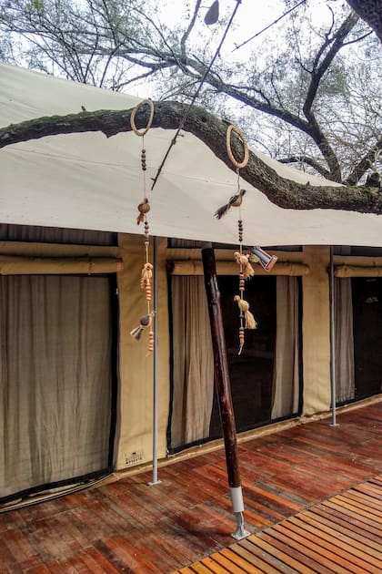 Carpa comedor