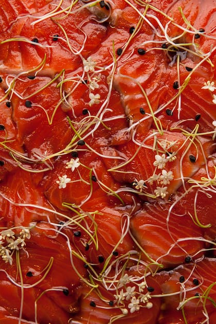 Carpaccio de salmón salvaje.