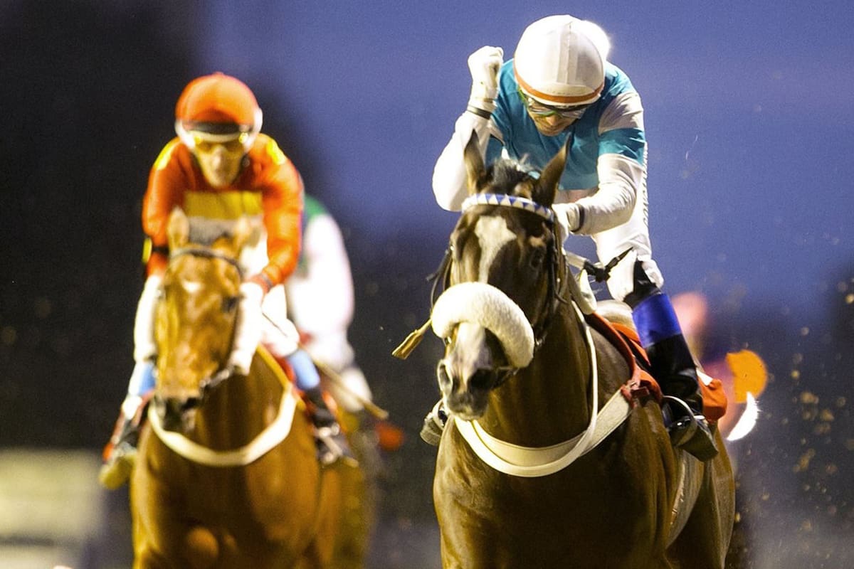 Carrera de las estrellas