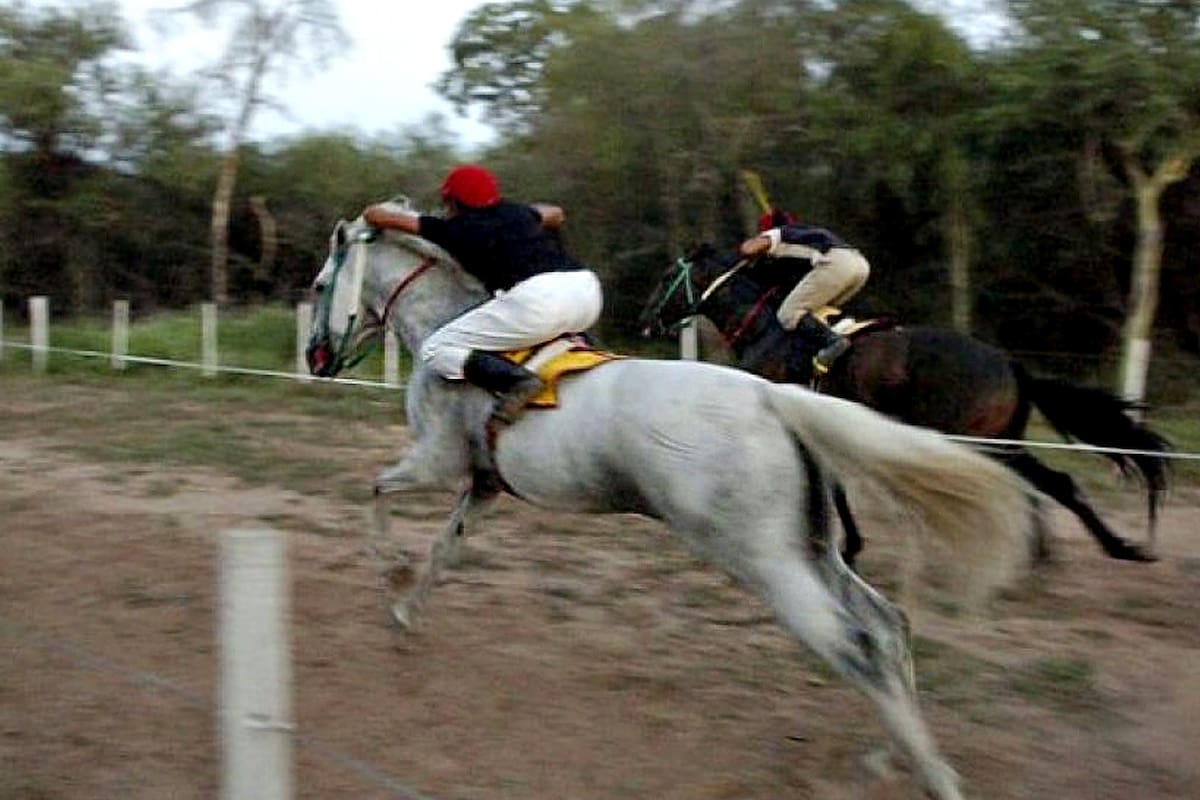 Carreras cuadreras