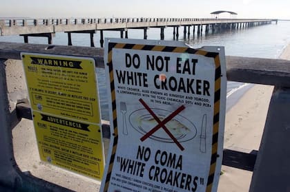Cartel que advierte que no se coma corvina blanca pescada en el muelle, por haberse detectado en esa especie altas concentraciones de DDT