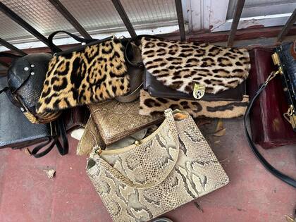 Carteras confeccionadas con piel de ocelote, yaguareté y serpiente