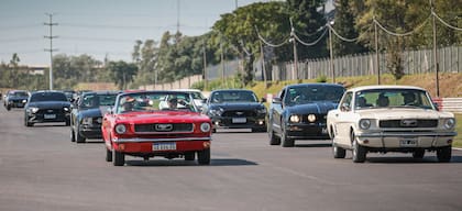 Carvana de Mustangs de todas las épocas