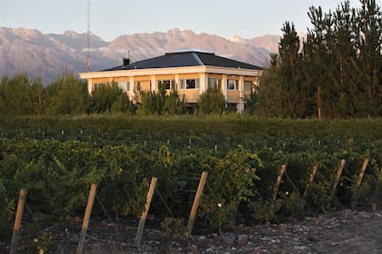 Casa Antucura