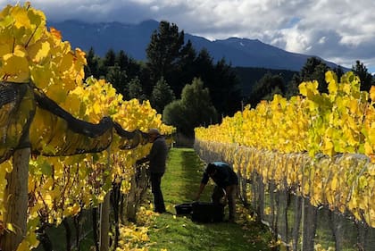 Casa Yagüe está sobre la ruta 259, muy cerca de la frontera con Chile