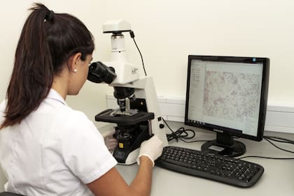 Casafe detalló que el negocio de los biológicos se divide en “los inoculantes (62% del mercado), seguidos por los bioestimulantes (14%), los bioinsecticidas (11%), los biofungicidas (5,1%) y los biofertilizantes (4,8%)