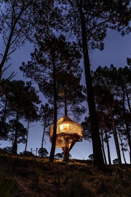 El exterior de la casa "Nido"