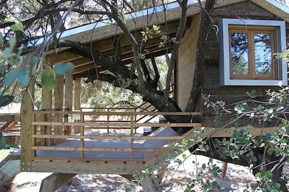 La casa del árbol del estudio Urbanarbolismo