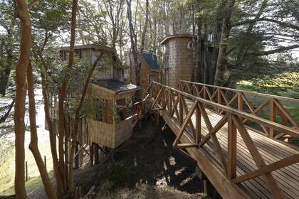 Casas en los árboles
