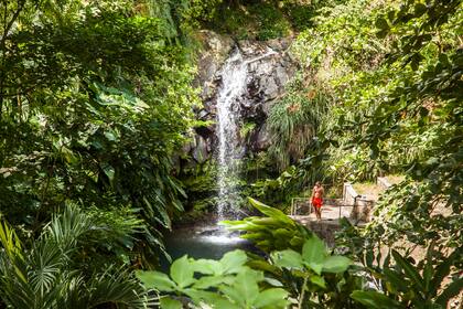 Cascada Anandale, Grenada.