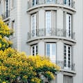 Un nuevo libro muestra los árboles y la arquitectura que hacen única a esta ciudad