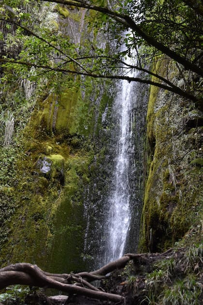 Cascada Condor yaku en Angochagua, Ecuador.
