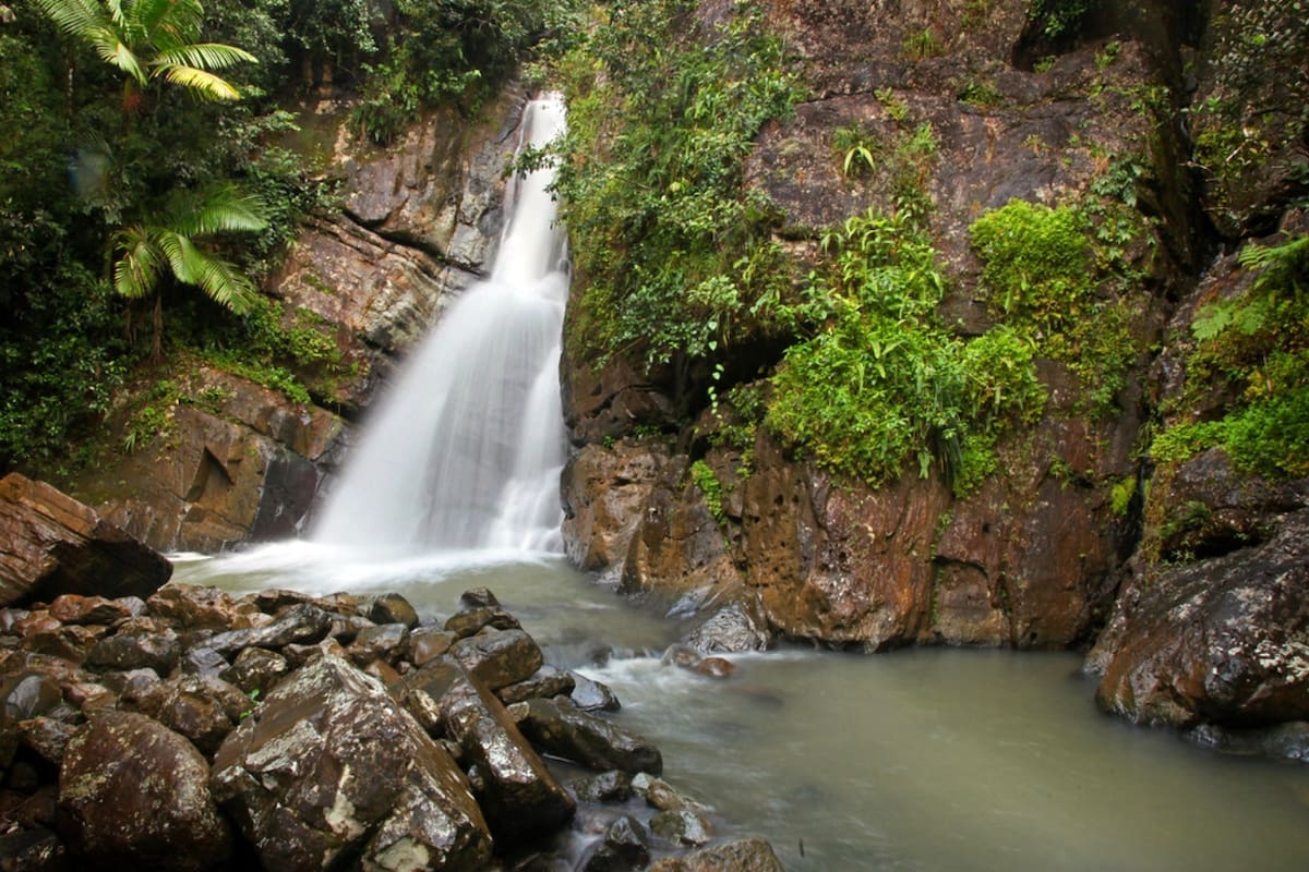 Cascada en El Yunque. El Bosque Nacional El Yunque es uno de los lugares conocidos más lluviosos del mundo. Es también un lugar turístico, el cual es muy visitado, admirado y protegido por los ciudadanos de la isla. Posee varias cascadas y una naturaleza tropical fascinante.