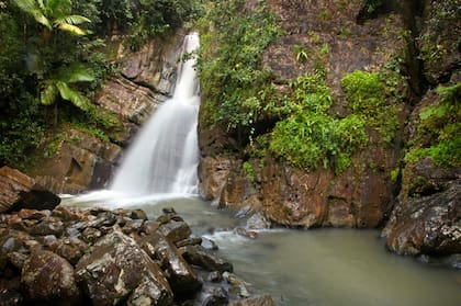 Cascada en El Yunque. El Bosque Nacional El Yunque es uno de los lugares más lluviosos del mundo. Es también un lugar turístico muy visitado, admirado y protegido por los ciudadanos de la isla. Posee varias cascadas y una naturaleza tropical fascinante.