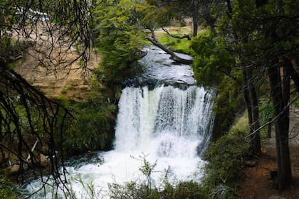 Cascadas de Nant y Fall, otro de los atractivos de las áreas naturales protegidas que ofrece Trevelin