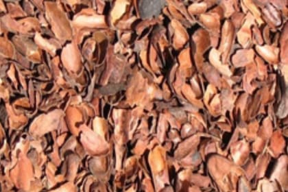 Cascarilla de cacao