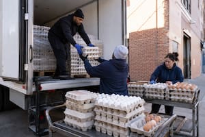 Nueva York distribuirá casi cinco millones de huevos gratis