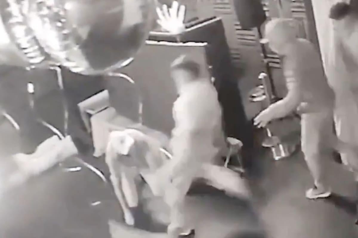 Casi matan a un hombre de una patada en un brutal robo a un boliche de La Plata