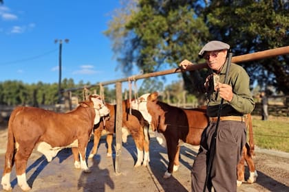"Casi sin espacio físico, apuntamos a tener solo animales de elite más que cantidad. Esto fue para mi padre una satisfacción enorme, en honor a su propio padre. Y para toda la familia, una gran expectativa”, cuenta Alegre