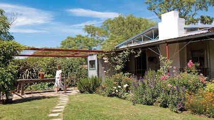 Casi todas las plantas de su jardín vienen de gajos que le regalaron. Se trata de “plantas con cuento propio”