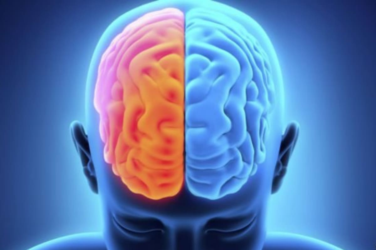 Casi todos los grandes escritores, artistas o inventores pasaron por un período de "aprendizaje"