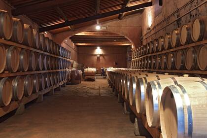 Casi todos los vinos premiados con medalla de oro en IWC fueron elaborados en Mendoza, a excepción de un vino patagónico producido en Río Negro