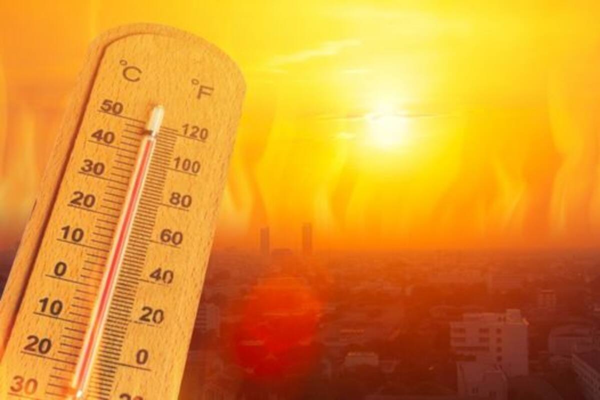 Casi un tercio de la Tierra ha sufrido eventos extremos de calor que no preveían los registros históricos.