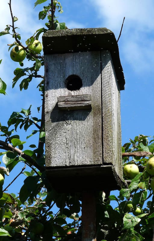 Casita para aves