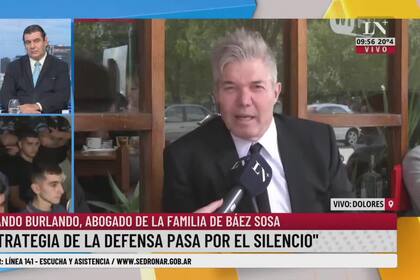 Caso Báez Sosa: “Con el debate quintuplicamos la cantidad de pruebas y son todas contundentes”, afirmó Fernando Burlando