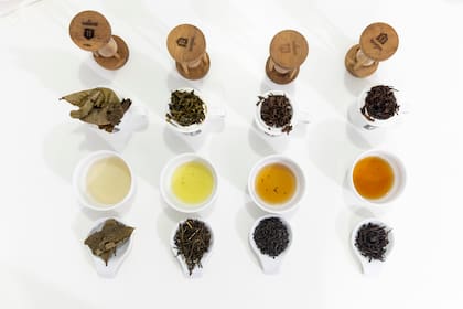 Cata de té en La Ruta del Té.