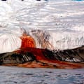 Hallan una antigua comunidad marina atrapada bajo un glaciar antártico