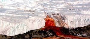 Hallan una antigua comunidad marina atrapada bajo un glaciar antártico