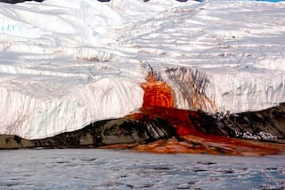 Hallan una antigua comunidad marina atrapada bajo un glaciar antártico