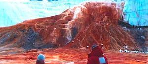 Las “cascadas de sangre” de la Antártida albergan descienden de antiguas criaturas marinas, según un estudio