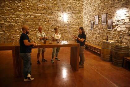 Catas de distintos tipos de uvas, parte de la experiencia turística en las bodegas de la costa