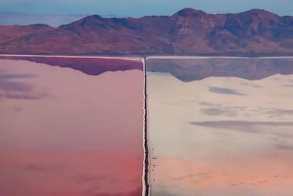 Categoría: Humedales: Una visión más amplia
Fotógrafo: Alex Visbal, Colombia
Ubicación: Bahía de Stansbury, Gran Lago Salado, Utah, EE. UU.