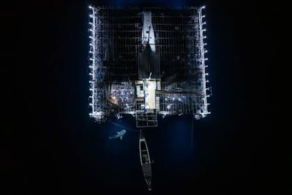 Categoría: Océanos: Una perspectiva más amplia
Fotógrafo: Alex Lindbloom, EE. UU.
Ubicación: frente a la bahía de Cenderawasih, Papúa, Indonesia
