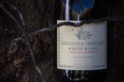 Catena Zapata White Bones, proveniente del Viñedo Adrianna en Gualtallary (Mendoza)