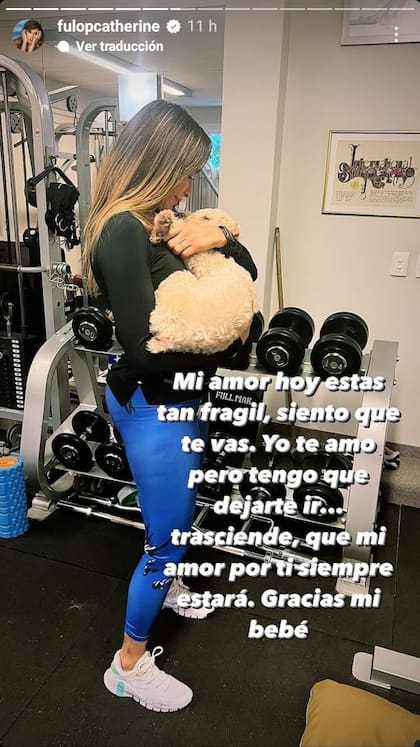 Catherine Fulop despidió a su mascota Ronnie