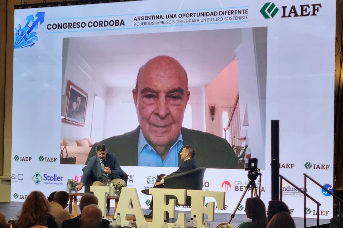 Cavallo participó por videoconferencia del congreso cordobés del Iaef.