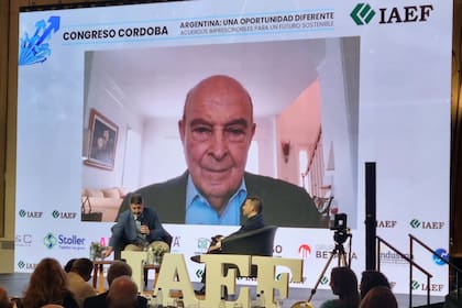 Cavallo participó por videoconferencia del congreso cordobés del Iaef.
