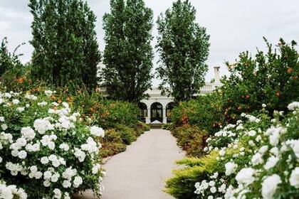 Cavas Wine Lodge, en Mendoza
