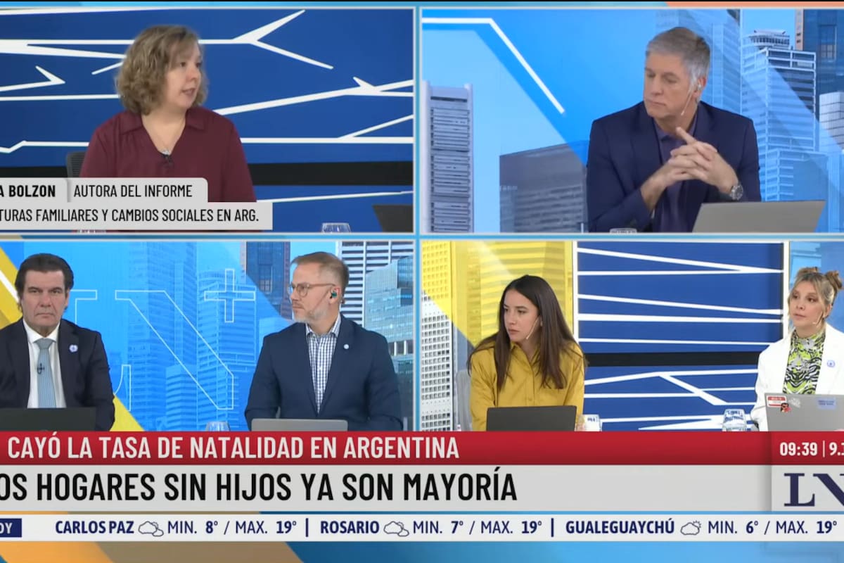 Cayó un 40% la natalidad en la Argentina