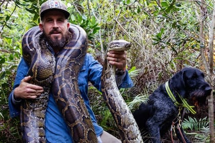 Cazador de serpientes de Florida